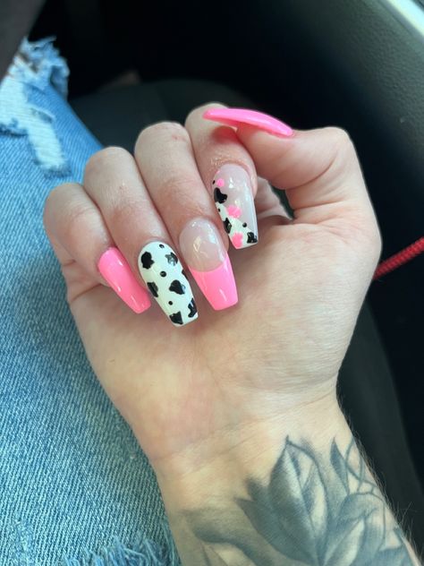 Pink And Black Cow Print Nails, Nails Pink Cow Print, Pink Cowprint Nails, Pink Cow Nails, Nashville Nails Ideas, Pink Cow Print Nails, Western Style Nails, Nashville Nails, Cow Print Nails