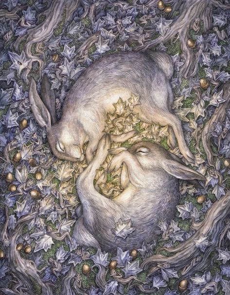 Adam Oehlers, 동화 삽화, Fairytale Art, Arte Fantasy, Dreamy Art, Limited Edition Prints, Rabbits, Pretty Things, Animal Art