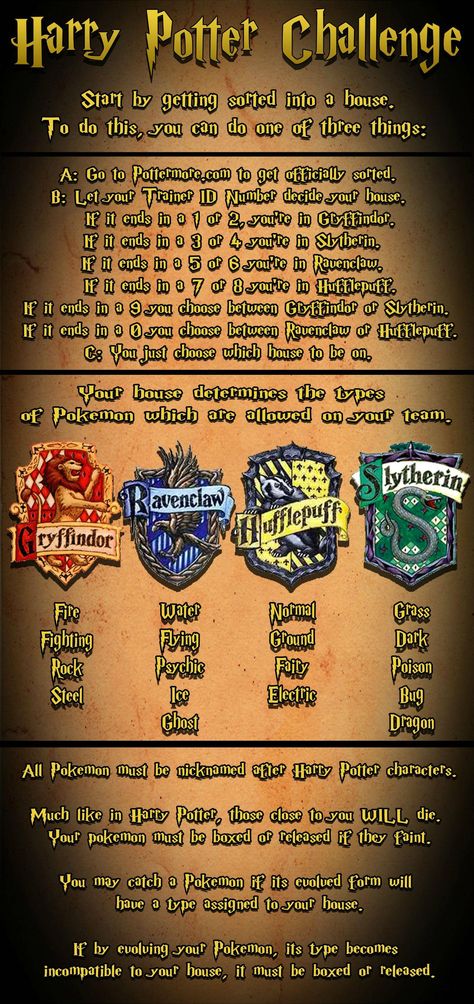 Harry Potter Pokémon Challenge Pokemon Tips, Pokemon Challenge, Harry Potter House, Pokemon Trainers, Pokemon Comics, Pokémon Master, Pokemon Memes, Pokemon Funny, Harry Potter Books