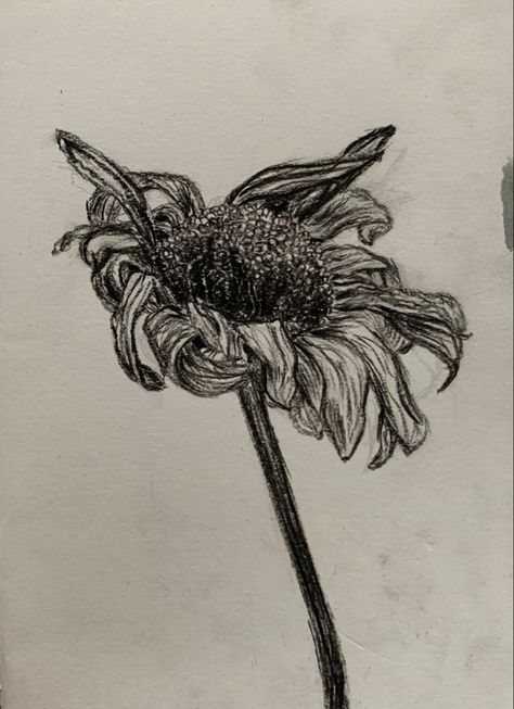 Wilting Flowers Drawing, Grunge Flowers Aesthetic, Dead Flower Drawing, Dead Flowers Aesthetic, Dead Flower Tattoo, Drawing Dead, Impulsive Ideas, Drawing Texture, Flower Colouring In