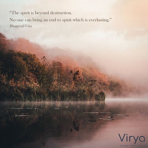 "The spirit is beyond destruction. No one can bring an end to spirit which is everlasting." - Bhagavad Gita #transcend #philosophy #nishkamkarmayoga Bagavath Gita Quotes, Bagavath Gita, Body Facts, Human Body Facts, Gita Quotes, Saved Pins, Bhagavad Gita, The Spirit, Philosophy