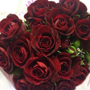 Rubicon. It might sound like a character from Transformers, but it's actually a spray rose! #roses #flowers #red Birtsmorton Court, Cranberry Wedding, Red Bouquet Wedding, Winter Wedding Decorations, Winter Wedding Flowers, Sweet Violets, Burgundy Flowers, Flowers Red, Spray Roses