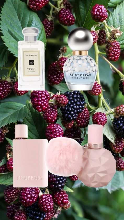 My #blackberry #perfume Wishlist pt. 1 Blackberry