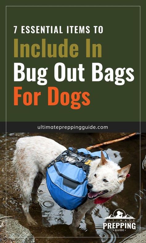 Food For Bug Out Bag, Pet Bug Out Bag, Dog Bug Out Bag, Bug Out Bag List Emergency Preparedness, Survival Bag List, Big Out Bag List, Bug In Prepping, Get Home Bag List, Bugout Bag Ideas