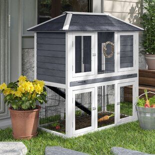 Bunny House Outdoor, Indoor Bunny House, Easy Chicken Coop, Bunny Hutch, Galvanized Tray, Rabbit Cages, Bunny Cages, Chicken Run, Rabbit Hutch