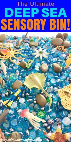 The ultimate deep sea sensory bin! A great ocean theme sensory bin idea for kids! A great sensory activity for toddlers, a great sensory activity for preschoolers, and great for strengthening fine motor skills! Sea Sensory Bin, Sensory Activities For Preschoolers, Ocean Theme Preschool, Sensory Bags, Sensory Activities Toddlers, Ocean Activities, Sensory Activity, Sea Crafts, Under The Sea Theme