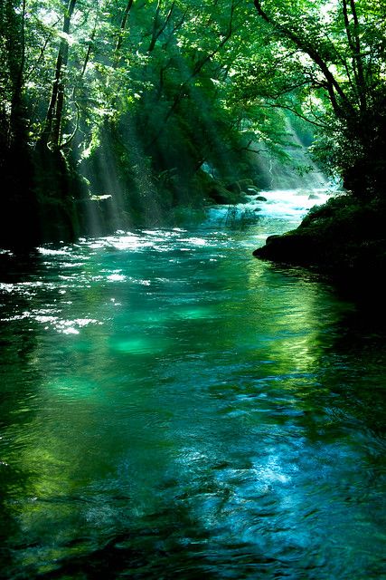 숲 사진, Forest Stream, Image Nature, Fotografi Alam Semula Jadi, Beautiful Forest, Alam Yang Indah, Alam Semula Jadi, Beautiful Places To Travel, Magical Places