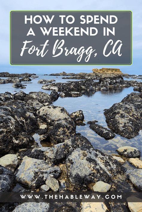 Lodging, dining and activity ideas for Fort Bragg, CA! #fortbragg #mendocino #californiacoast #pacificocean #whalewatching #pacificcoasthighway #tidepools Avenue Of The Giants, Fort Bragg California, California Towns, Reading More, Coastal California, Fort Bragg, California Coastal, The Giants, Pacific Coast Highway