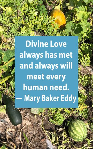 Christian Quote. Spiritual Quote. Divine Love always has met and always will meet every human need. Mary Baker Eddy Mary Baker Eddy Quotes, Christian Science Quotes, Divine Oneness, Quote Spiritual, Mary Baker Eddy, Science Quotes, Christian Science, Christian Quote, Divine Love