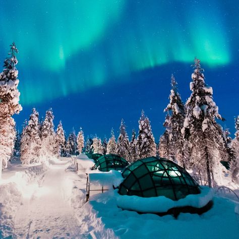 Scandinavian Hotel, Northern Lights Hotel, Kakslauttanen Arctic Resort, Winter Honeymoon, Northern Lights Viewing, Alaska Northern Lights, Aurora Lights, Glass Cabin, Stunning Hotels