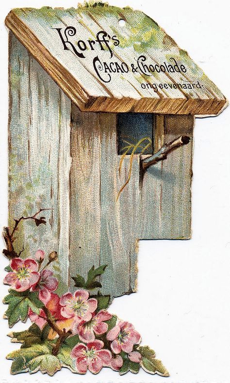 Tole Painting, Bird Pictures, Watercolor Bird, Country Art, Paper Quilling, Wildlife Art, Bluebird, Featured Art, Birds Painting