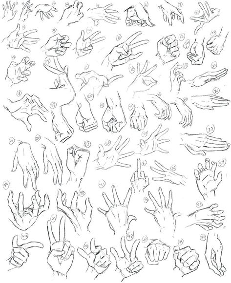 Hand Gesture Drawing, Anatomy Studies, Hand Signs, Draw Hands, Drawing Hands, Anime Hands, Hand Drawing Reference, Figure Reference, Body Reference Drawing