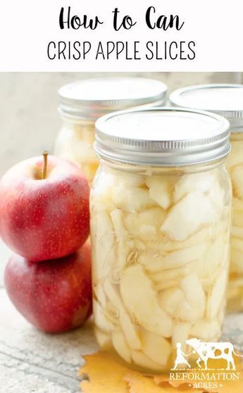 Canning Crisp Apple Slices Canning Fresh Apples, Canning Sliced Apples, Canning Apple Slices, Preserve Apple Slices, How To Can Apples, Freezing Apples Slices, Canning Apples Recipes, Apples Canning, Apple Canning Recipes