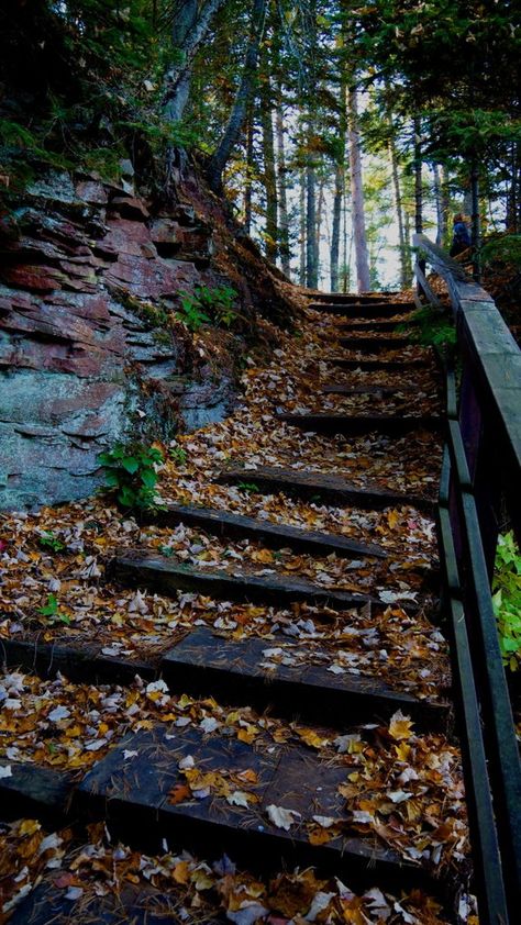 Waterfall Pool, Wisconsin State Parks, Hiking Places, Wood Nymphs, Talking Animals, Wisconsin State, Beautiful Forest, On The Road Again, Scenic Views