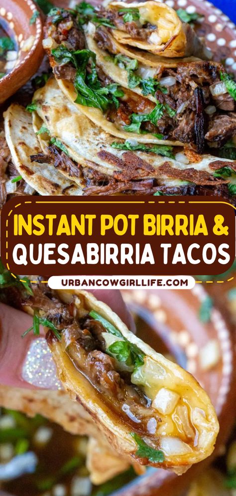 Don't miss out on these beef birrias! Thanks to the Instant Pot, this main dish is now ready in half the time. Tender and juicy with an authentic taste, these quesabirria tacos are sure to be a hit. Save this easy dinner recipe! Urban Cowgirl Recipes, Instant Pot Birria Recipe, Simple Birria Tacos Recipe, Birria Instapot, Queso Birria Tacos Crockpot, Birria Instant Pot Recipes, Chicken Birria Tacos Recipe Instant Pot, Birria Recipe Mexican Instapot, Quesabirria Tacos Recipe Instant Pot