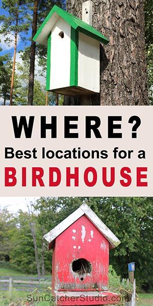 Backyard Birds Sanctuary, Bird Feeder Plans, Homemade Bird Houses, Bird Houses Ideas Diy, Bird House Plans, Bird House Kits, Bird Aviary, Diy Birds, Bird Houses Diy