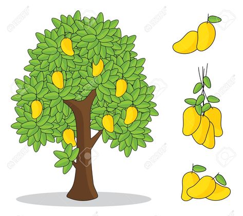 yellow mango on tree with white background. isolated doodle hand drawing. , #Ad, #tree, #white, #yellow, #mango, #background Mango Tree Drawing, Mango Background, Soal Tk, Yellow Mango, Mango Plant, Bird Clipart, Tree Clipart, Mango Tree, Wallpaper Trends