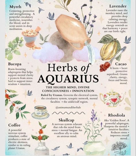 Aura Aquarius, Wicca Aesthetic, Aesthetic Magic, Herbal Education, Leo Sun, Medicinal Herbs Garden, Medical Herbs, Magic Herbs, Magical Herbs