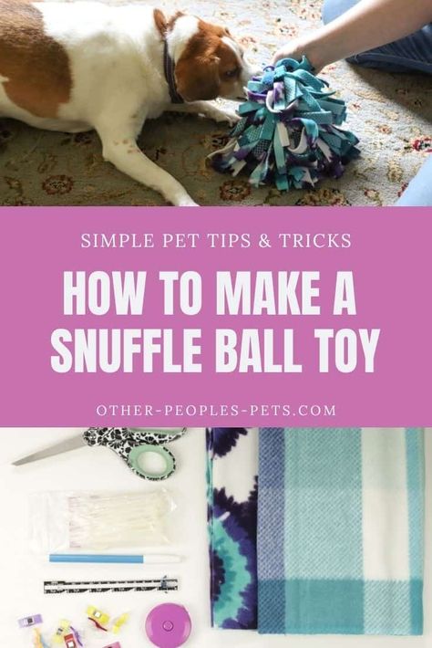 Diy Dog Brain Toys, Snuffle Ball For Dogs Diy, Diy Snuffle Ball For Dogs, Dog Snuffle Ball, Snuffle Ball For Dogs, Snuffle Ball, Homemade Dog Toys, Puppy Development, Pet Sitting Business