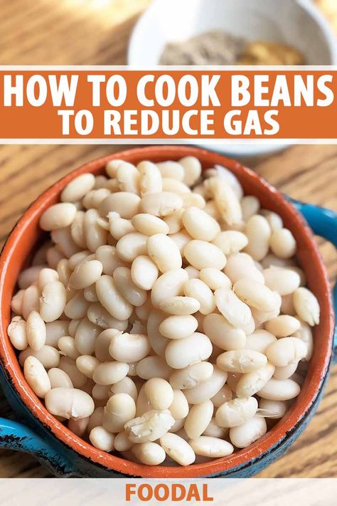 Beans are a good plant-based source of protein that's also high in healthy nutrients and dietary fiber. Yet, despite being inexpensive, many of us avoid them due to an unpleasant side effect of eating legumes: gas. Find out how to prepare and cook dried beans to make them easier to digest. #kitchenhacks #beans #foodal Eat More Beans, Thanksgiving Recipes Side Dishes Easy, How To Make Beans, Dry Beans Recipe, Cooking Beans, Cook Beans, Gut Recipes, Beans Beans, Cooking Dried Beans