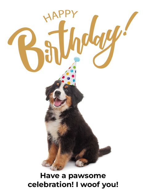 Happy Birthday Wishes Dog Lover, Birthday Wishes For Dog, Happy Birthday Dog Lover, Cute Happy Birthday Quotes, Happy B Day Cards, Doggie Birthday, Happy Birthday Cousin, My Pet Dog, Happy Birthday Dog