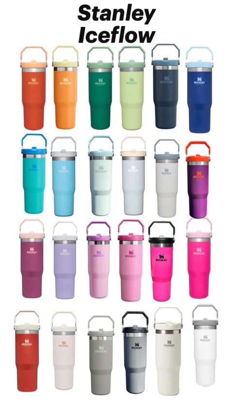 Birthday Gifts List, Stanley Ideas, Braces Ideas, Cute Stanley, Stanley Bottle, Cute Emoji Combinations, Stanley Water Bottle, Stanley Iceflow, Ideas Maquillaje