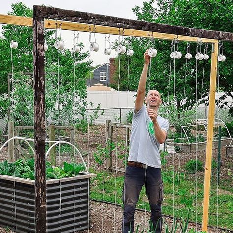 James Prigioni on Instagram: "New YouTube Video!

The Most Effective, Time Saving, Space Saving, and Convenient way to Trellis your Tomato Plants

Thanks for the kind words and support 😁🐕❤️" James Prigioni, Fayetteville Arkansas, Fort Smith, Tomato Plants, Time Saving, Photographing Babies, Maternity Photographer, May 13, Kind Words