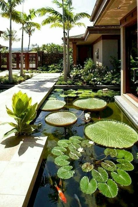 Ideas De Piscina, Garden Landscaping Ideas, Fish Pond Gardens, Backyard Ponds, Pond Design, Garden Types, Ponds Backyard, Fish Pond, Garden Cottage