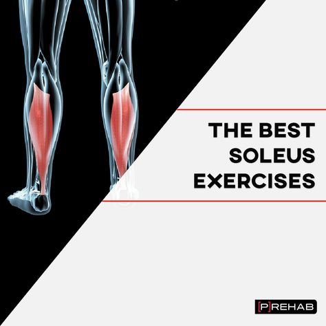 Soleus Exercises, Soleus Muscle, Ankle Fracture, Ankle Exercises, Lower Leg Muscles, Sports Physical Therapy, Ankle Mobility, Achilles Tendon, Strengthening Exercises