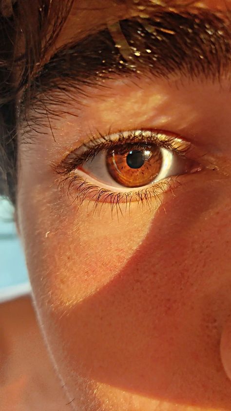 good quality photo Brown Eyes Aesthetic Male, Light Brown Eyes Men, Light Brown Eyes Aesthetic, Cognac Eyes, Brown Eyes Men, Chestnut Brown Eyes, Brown Eyes Male, Brown Eyes Boy, Amber Brown Eyes