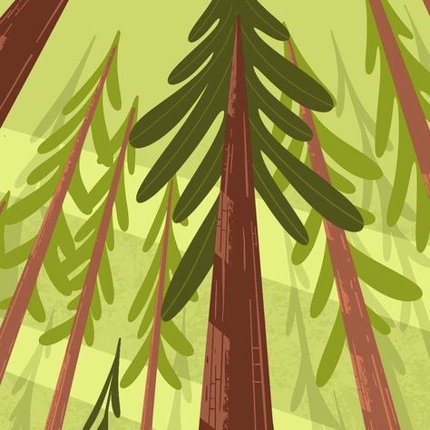 Redwood Illustration, Draw Everyday, Stylized Landscape, Nevada National Parks, Postcard Illustration, Sequoia Tree, Drawing Procreate, Redwood National Park, Redwood Forest