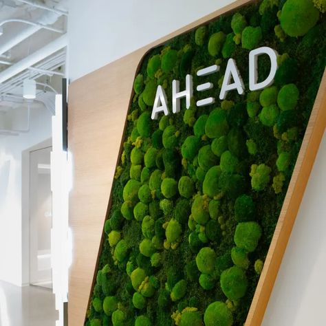 Moss wall inlaid in wood with the AHEAD logo Moss Planters, Wall Moss, Moss Walls, Digital Experience, Moss Wall, Concept Development, Motion Design, 3d Design, Software Development