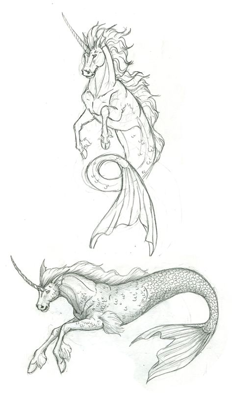 Mythical Sea Creatures Drawing, Mythical Creatures Art Sketch, Mythology Drawings, Fantasy Sketches, Mythical Creatures Drawings, Lup Singuratic, Mythical Monsters, Insta Baddie, Sea Horses