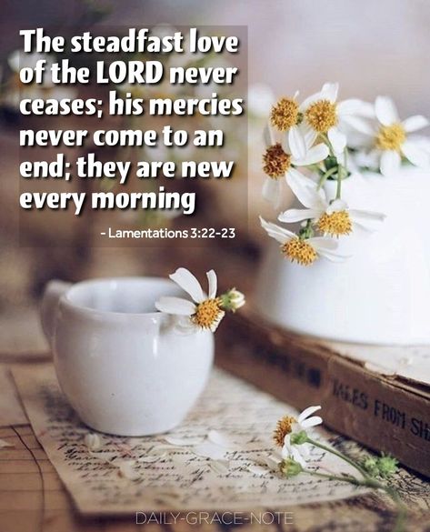 The steadfast love of the LORD never ceases; his mercies never come to an end; they are new every morning - Lamentations 3:22-23 Steadfast Love Of The Lord, Mercies Are New Every Morning, His Mercies Are New, Lamentations 3 22 23, Christian Graphics, Daily Grace, New Every Morning, Bible Facts, Inspirational Bible Quotes