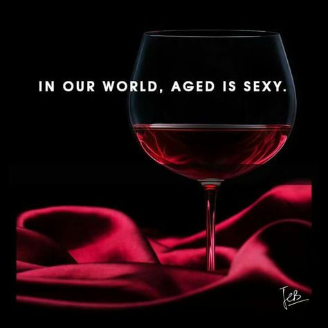 In our world.  Aged is SEXY! Traveling Vineyard, Wine Guide, Wine Down, Wine Signs, Wine Wednesday, Coffee Wine, Wine Quotes, A Glass Of Wine, Wine Humor