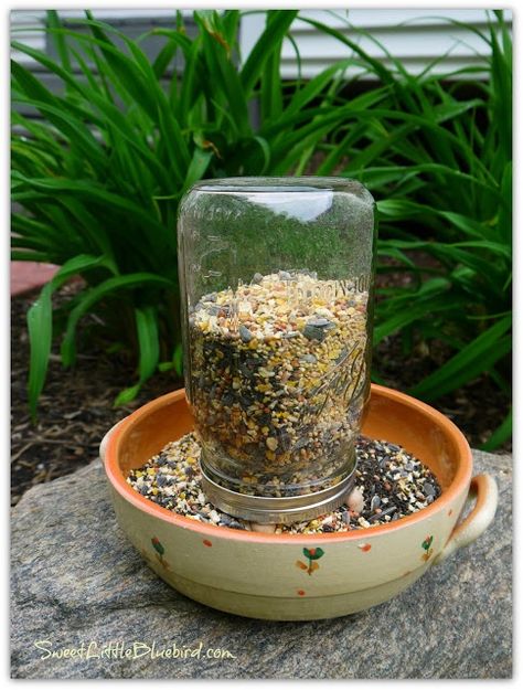 An awesome and easy way to make a bird feeder using a mason jar. You could use any old dish.  I think I would try gluing the dowels to the dish so the squirrels don't knock it over #birdfeederplans #diybirdfeederplans #homemadebirdfeeder #wildbirdscoop Mason Jar Bird Feeders Diy, Mason Jar Bird Feeders, Modern Bird Feeders, Make A Bird, Make A Bird Feeder, Bird Feeder Plans, Glass Bird Feeders, Bird Houses Ideas Diy, Homemade Bird Feeders