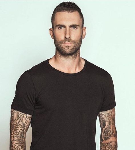 Adam Levine Actor Hairstyle Men, Adam Levine Hair, Peplum Jacket Outfit, Adam Levine Haircut, Adam Levine Style, Haircuts For Balding Men, 5 Hairstyles, Buzz Cut Hairstyles, Mens Facial