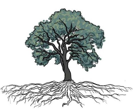 Searching for the Ideal Oak - Katura's Sketch-blog Oak Tree Drawings, Tree Line Drawing, Urban Forestry, Tree Carving, Tree Line, Tree Drawing, Tree Tattoo, Things I Love, Crafty Projects