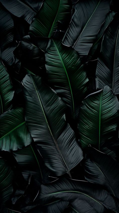 Plants Wallpaper, Wallpaper Background Design, Motivation Art, Plant Wallpaper, Motivational Art, Garden Of Eden, I Wallpaper, Color Textures, Mobile Wallpaper