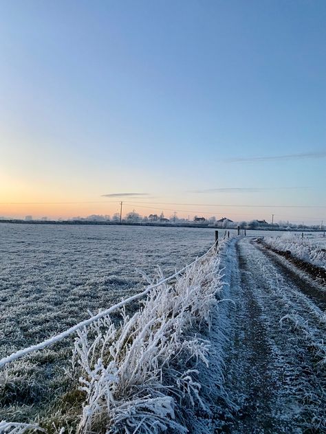 Winter autumn fall cold aesthetic snow frost morning Cold Aesthetic, Aesthetic Snow, Frosty Morning, Cold Morning, Winter Frost, Autumn Morning, Winter Mornings, Winter Walk, Best Seasons