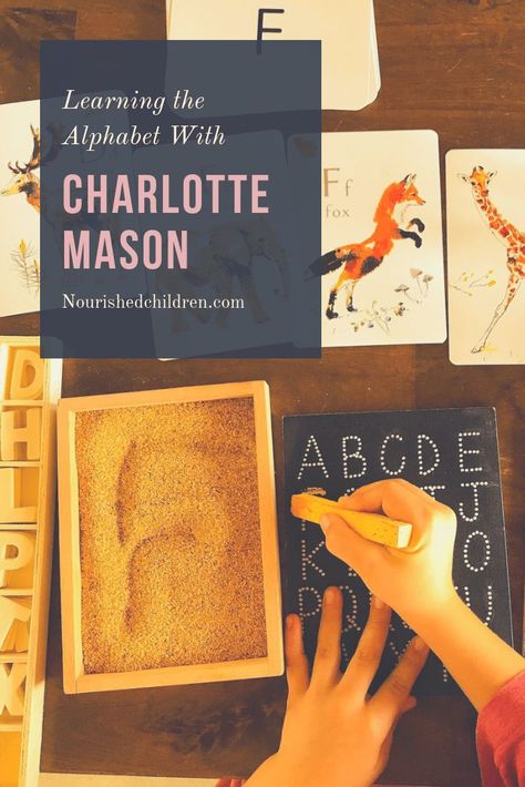 Charlotte Mason Preschool, Homeschool Portfolio, Charlotte Mason Homeschool, Math Drills, Waldorf Homeschool, Charlotte Mason, Learning Strategies, Homeschool Planning, Free Homeschool