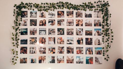 Picture Wall With Vines, Polaroid Wall With Vines, Filming Room, Hipster Bedroom Decor, Artificial Vines, Picture Room Decor, Fairy Lights Bedroom, Bedroom Wall Collage, Bedroom Wall Paint