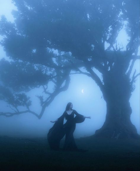 Ethereal Aesthetic, Photographie Inspo, Season Of The Witch, Images Esthétiques, Witch Aesthetic, Cinematic Photography, Fantasy Aesthetic, Dark Photography, Fotografi Potret