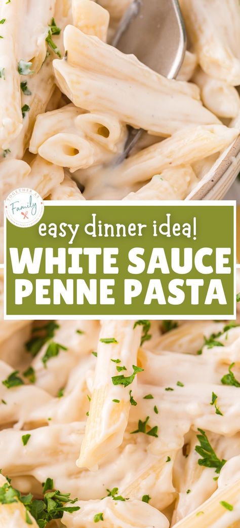 Easy Pasta Recipes White Sauce, Easy Homemade Pasta Sauce White, Pasta Bake White Sauce, White Pasta Sauce Recipe Milk, White Italian Sauce Recipes, White Sauce Hamburger Pasta, Pena Pasta Recipes, White Pasta With Chicken, Shrimp White Sauce Pasta