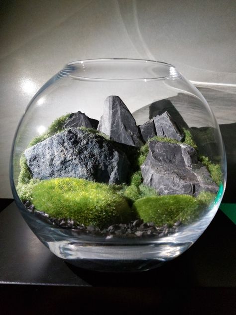 Mountain Terrarium, Hobbit Garden, Closed Terrarium Plants, Large Terrarium, Plant In Glass, Small Japanese Garden, Succulent Garden Indoor, Beautiful Terrariums, Mini Terrarium