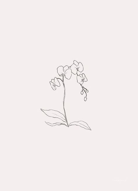 Minimalist Tattoo Women, Orchid Flower Tattoos, Orchid Drawing, 16 Tattoo, Orchid Tattoo, Tattoo Women, Discreet Tattoos, Dainty Tattoos, Dream Tattoos