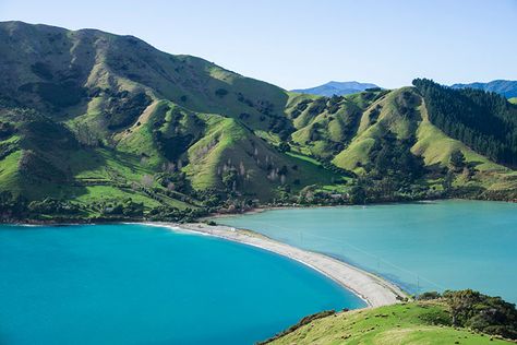 Hiking the Cable Bay Walkway, Nelson | See the South Island NZ Travel Blog Kiwi Aesthetic, Nz South Island, Maluku Islands, Nelson New Zealand, Nelson Bay, Environment Reference, New Zealand Adventure, Nz Travel, West Papua