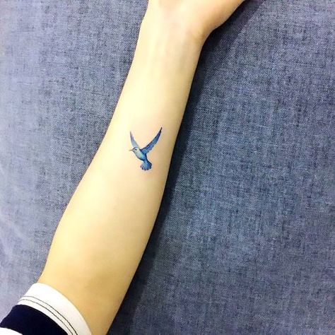 30 Amazing Freedom Symbol Tattoo Ideas You Need On Your Body - EcstasyCoffee Freedom Symbol Tattoo, Tattoo Freedom, Blue Bird Tattoo, Delicate Tattoos For Women, Bluebird Tattoo, Bird Tattoos For Women, Freedom Tattoos, Forearm Tattoo Women, Small Hand Tattoos