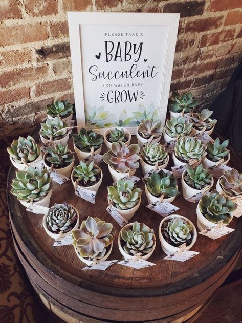 Baby Succulents in 2022 | Sprinkle baby shower, Baby shower bbq, Bohemian baby shower Succulents Favors, Diy Baby Shower Ideas, Sage Green Baby Shower, Baby Succulents, Bohemian Baby Shower, Sprinkle Shower, Baby Shower Theme Decorations, Baby Shower Deco, Announcement Sign