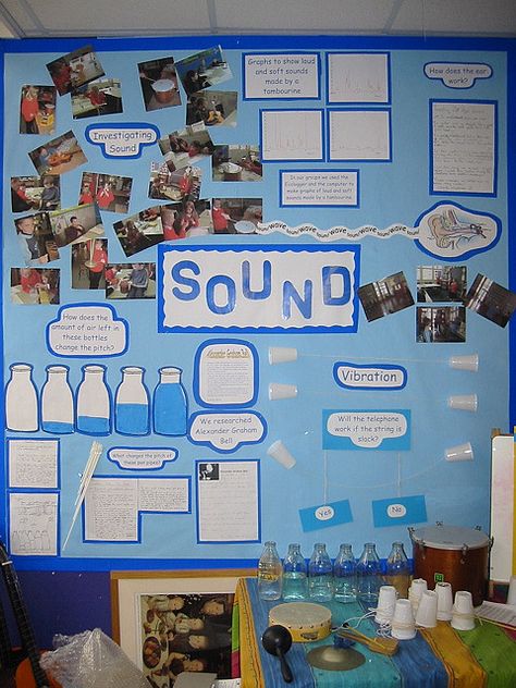 Thank goodness for interns and housemates! Another project for this week Classroom Displays Ks2, Teaching Sound, Ks2 Science, Science Display, Sound Science, Topic Ideas, Class Displays, Primary Science, School Displays